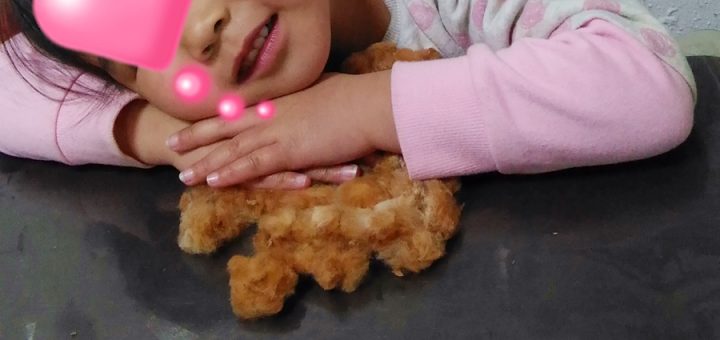 花は見るだけのものじゃない