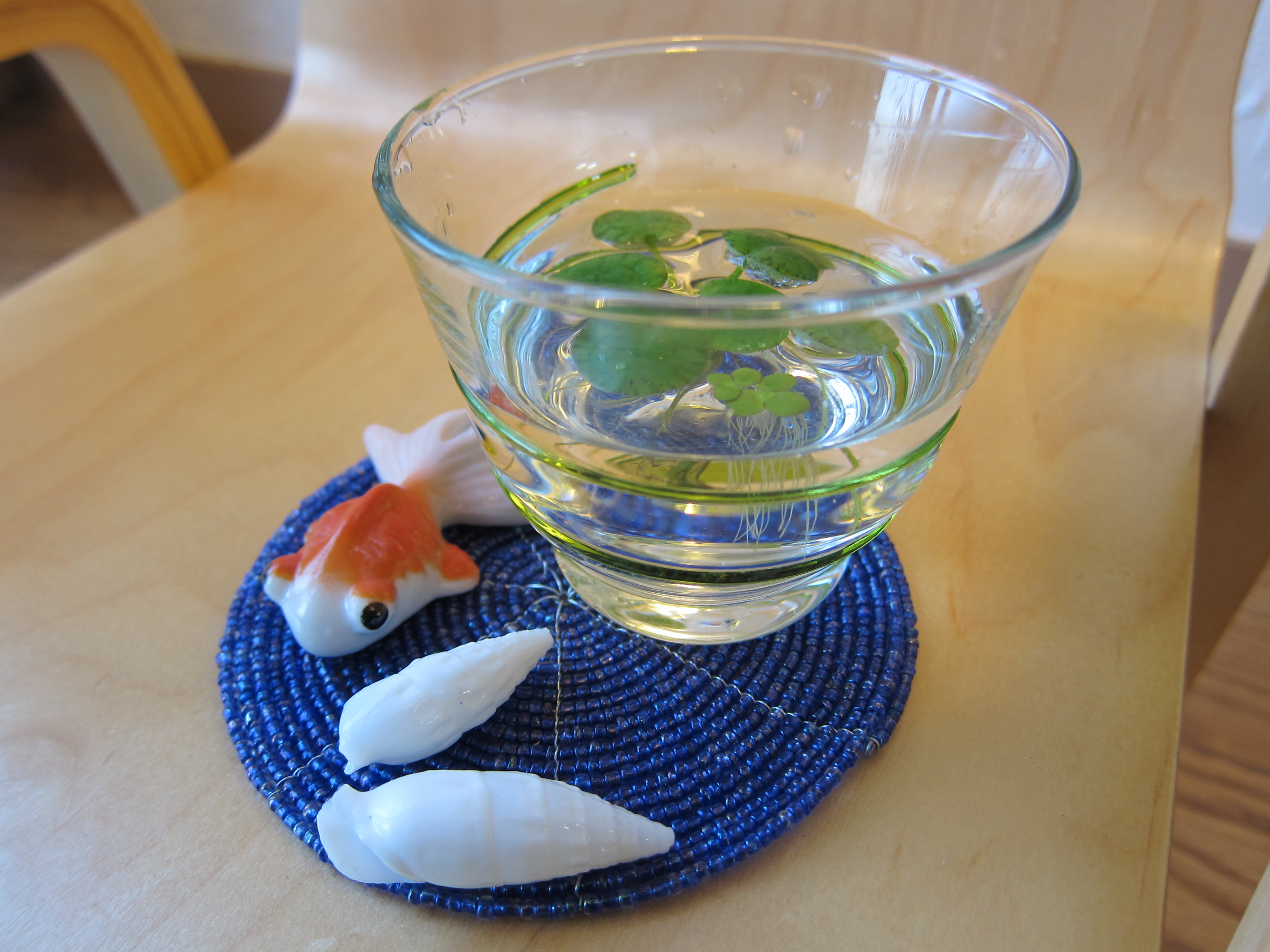 おちょこサイズの水草飾りでお部屋を涼しく